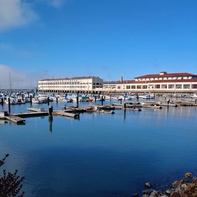 _ssh_whois's profile picture. 🦍🟦🦜⬜️🐕 🐨 🟨🧥(𓆤)

// potential transformation: 🟦tang(🐠), ⬛🟨 banded 🐍.