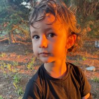 thelastchapulcu (@abigosu) Twitter profile photo