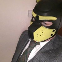 🔞charles the beagle (@charles4beagle) 's Twitter Profile