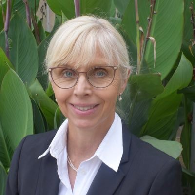 Norwegian Diplomat, Former Norwegian Ambassador to South Sudan