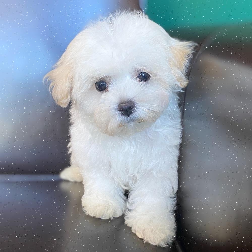 Gemma14578's profile picture. 