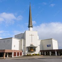 Knock_Shrine_Is_Inauthentic (@shrineknock) 's Twitter Profile