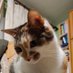Monika Fus (@mfs_dev) Twitter profile photo Monika Fus (@mfs_dev) Twitter profile photo