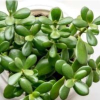 Bharat Tolani (@6b8afa2b497a407) 's Twitter Profile Photo