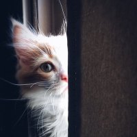 Broken Heart (@brokenheart_75) 's Twitter Profile