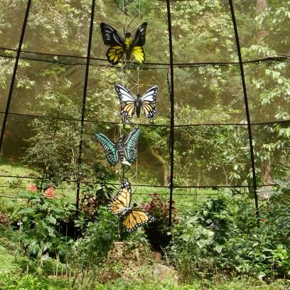 cudeeeen's profile picture. 🩷