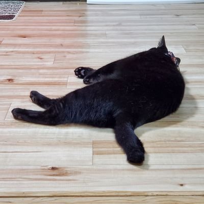 ろく坊さんのプロフィール画像
