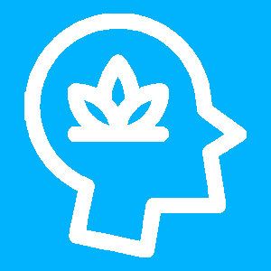 LesPsys's profile picture. Comment est votre banquette ?