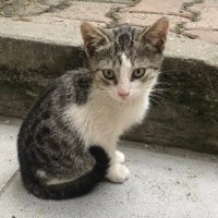 Su durmaz (@sudurmaz10) 's Twitter Profile Photo