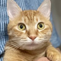hdk (@hdk191919) 's Twitter Profile