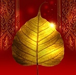 Random tweets - follow me!