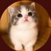 Fayyaz (@fayyaz41032357) Twitter profile photo Fayyaz (@fayyaz41032357) Twitter profile photo