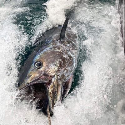 川、湖、池、海、国内外、魚種・釣法問わず釣りする人。
多趣味な釣りバカ！
漁師兼業遊漁船船長始めました。