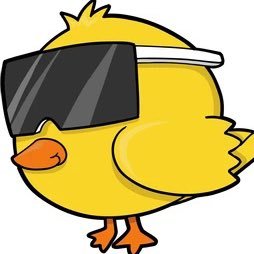 Chick’s 🐣 Picks Profile