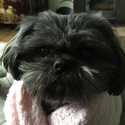 Marie, Cumbria, my interests are History, Archaeology, world religions, politics.. RT are not and endorsement, DM will get no response unless I know you