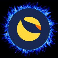 ❤️ LUNC 🔥 AUS LOTTO🍺 (@luncburnaus) 's Twitter Profile