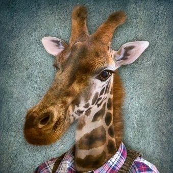 la_dschihraff's profile picture. Spieglein, Spieglein an der Wand...