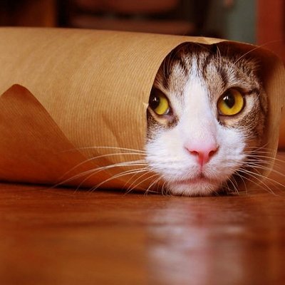 AbTohJaagJaa's profile picture. Attempting sarcasm or being comedic,funny. Well u decide.. 
I am a proud Bunt and a Maharashtrian(karma bhoomi)
All tweets preceded by "Allegedly..."