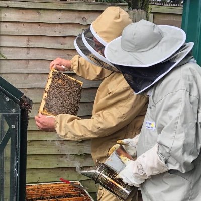 Cairo Genizah - Cambridge - beekeeping