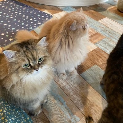 harusan819's profile picture. 元劇部長。劇団FB卒団。墓前高校→大谷→保育