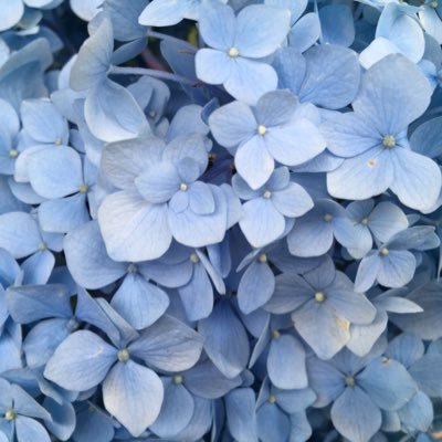 marinaqua3's profile picture. これ以上日本が壊されていくのを見過ごせない。いま舵取りを大きく変えるとき。心ある方々が声を上げていけば日本は必ず変えられると信じます。フォロー、拡散をお願いいたします😊