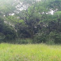 Colombia primero (@ricarfor2013) 's Twitter Profile