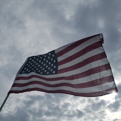 bigcatrog's profile picture. MAGA,2A,WWG1WGA,AMERICA FIRST, NO DM'S