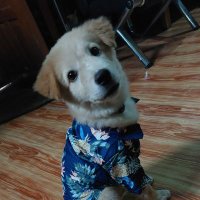 B. R. (@crainydays) 's Twitter Profile