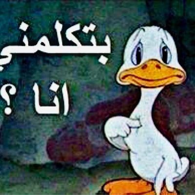 Islam20222's profile picture. عابر سبيل