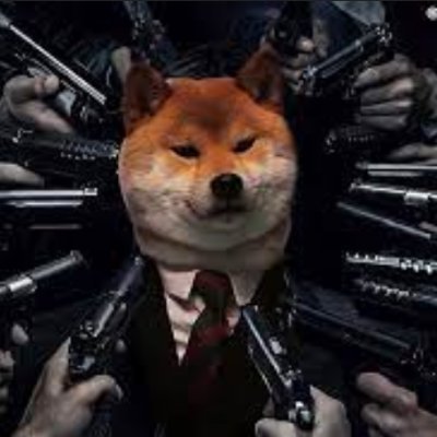 stkovrflw's profile picture. 