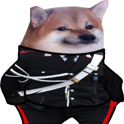 AssistenteNAFO's profile picture. Mama mia! The fellas are coming
#nafo #NAFOfellas #NAFOitaly