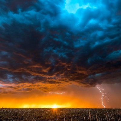 tornadoStorm101's profile picture. “You can have your own opinions, but you can't have your own facts. Truth is not a democracy. It doesn't give a shit what you believe.”