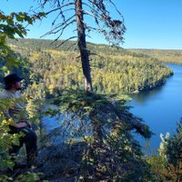 Al (@alan_a_hockert) 's Twitter Profile