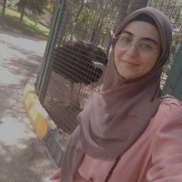 Zeynep Özdemir (@muallimeirabia) Twitter profile photo