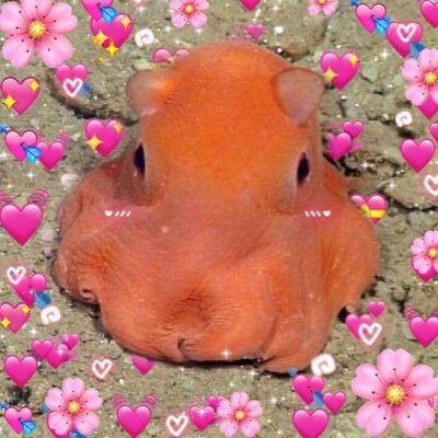 greendreamingg's profile picture. 