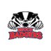 Brock Badgers (@brockbadgers) Twitter profile photo