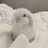 Panpi_RunRun's profile image