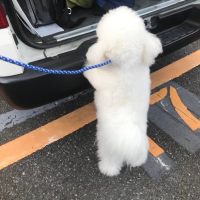 SUMIRELOVE11's profile picture. 懸賞にハマっています🎀色々な事に挑戦していきたいです💖無言フォロー失礼致します🐰よろしくお願いします☺️懸賞仲間募集中🌻ご縁がありますように💐 当選報告は心をこめて