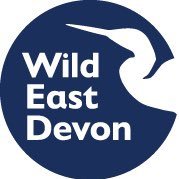 Wild East Devon (@wildeastdevon) 's Twitter Profile Photo Wild East Devon (@wildeastdevon) 's Twitter Profile Photo