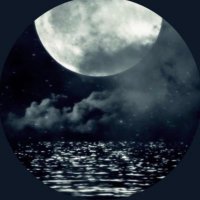 Zing High (@zinghigh) 's Twitter Profile