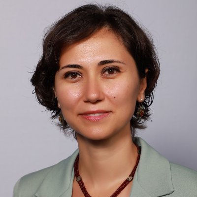 Zeynep Madak Erdogan