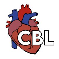 Cardiovascular Biomechanics Lab(@CVBiomech_Witz) 's Twitter Profileg