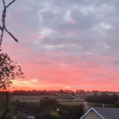 ShHughes1234's profile picture. Directorate Manager
Specialist Palliative Care