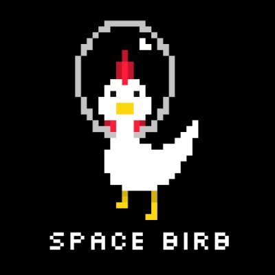 spacebirbgames Profile Picture