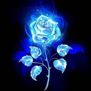 Amatullahdanju3's profile picture. proud Muslim🧕
midwife🤰🤱
selling kitchen utensils and home equipment, I also post different job Vaccancy