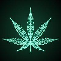ogcannabis.eth (@ogcannabiseth) 's Twitter Profile