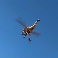 Jan Wacker (@drwacker) 's Twitter Profile