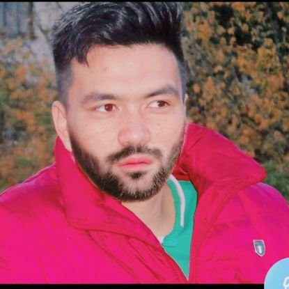 AlirezaAmini420's profile picture. 