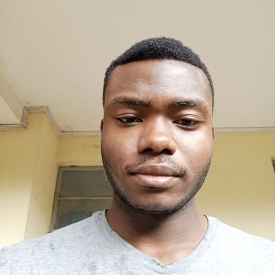 ChukwuStanisla2's profile picture. Frontend developer, Graphics Designer,Web designer.