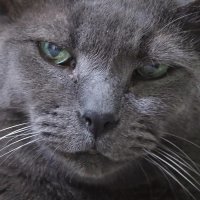 Adrian Constantin (@adrianontheweb) 's Twitter Profile
